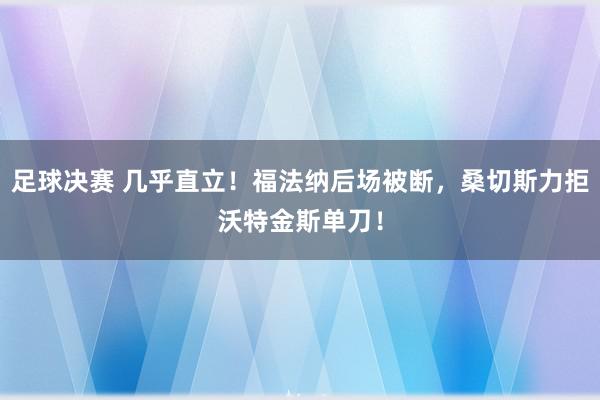 足球决赛 几乎直立！福法纳后场被断，桑切斯力拒沃特金斯单刀！