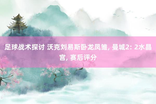 足球战术探讨 沃克刘易斯卧龙凤雏, 曼城2: 2水晶宫, 赛后评分