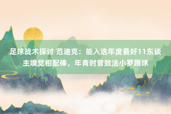 足球战术探讨 范迪克：能入选年度最好11东谈主嗅觉相配棒，年青时曾效法小罗踢球