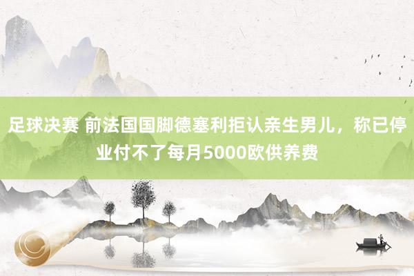 足球决赛 前法国国脚德塞利拒认亲生男儿，称已停业付不了每月5000欧供养费