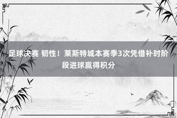 足球决赛 韧性！莱斯特城本赛季3次凭借补时阶段进球赢得积分